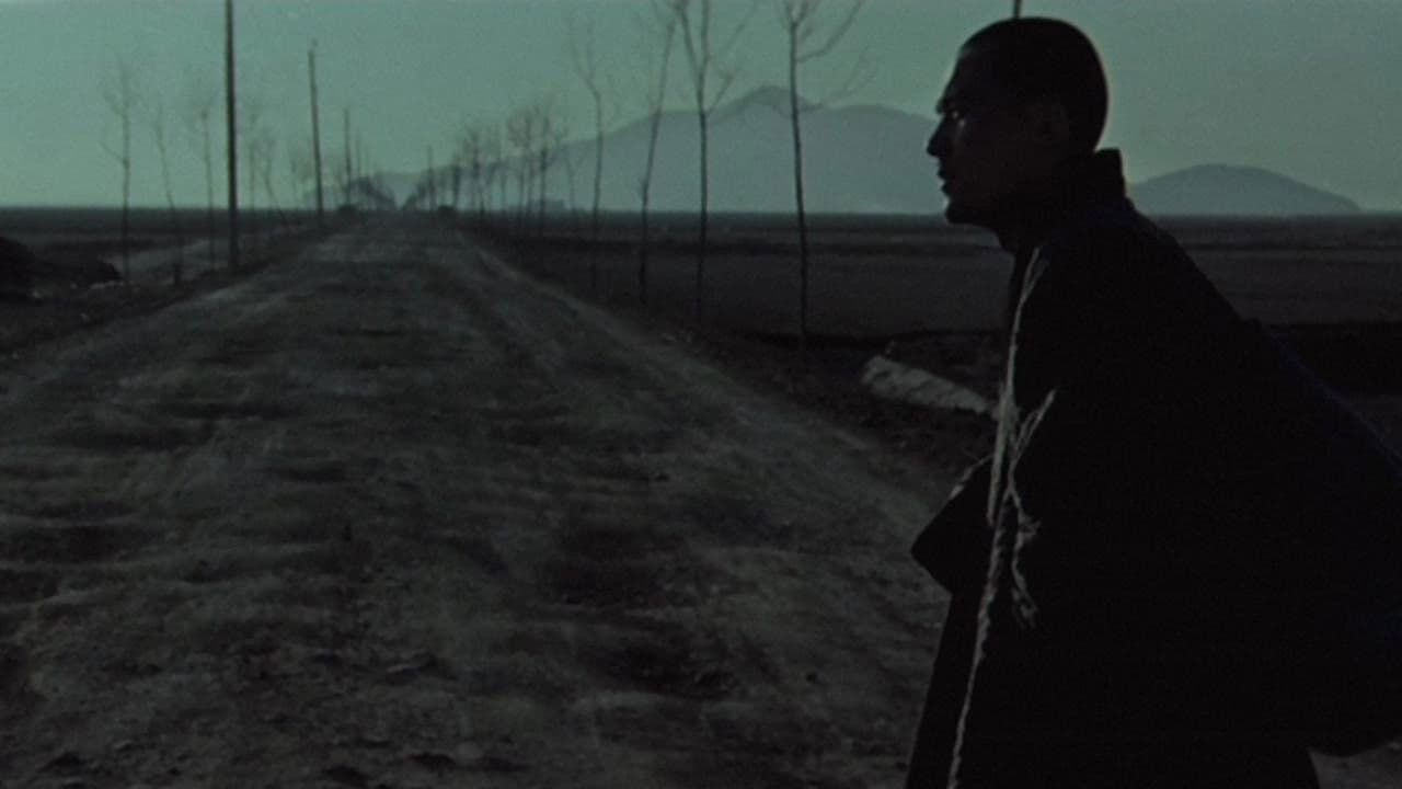 Backdrop – 만다라