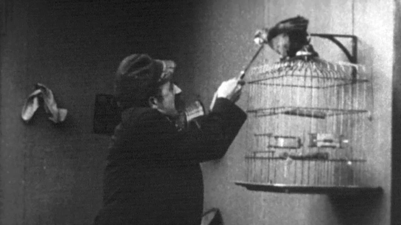 Backdrop – A Bird's a Bird