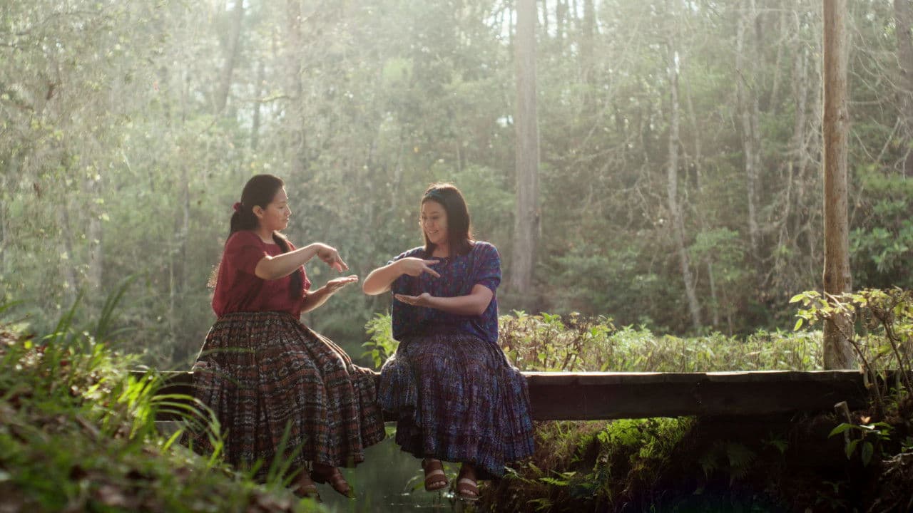 Backdrop – El Silencio del Paab’ank