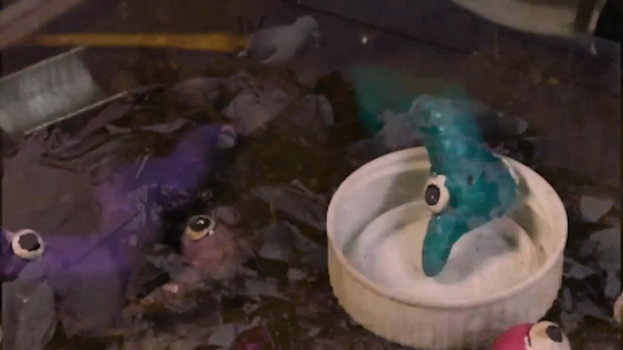 Backdrop – Eles Não nos Deixam ver o Sol