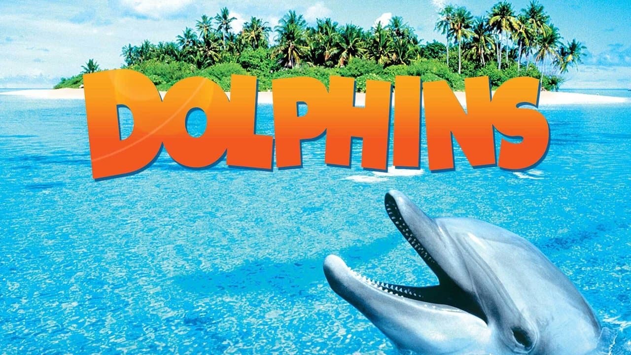 Backdrop – Dolphins