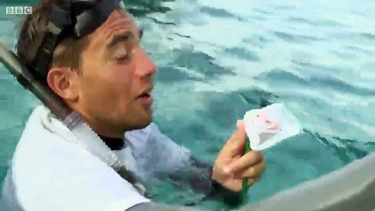 Backdrop – Shark: Beneath the Surface