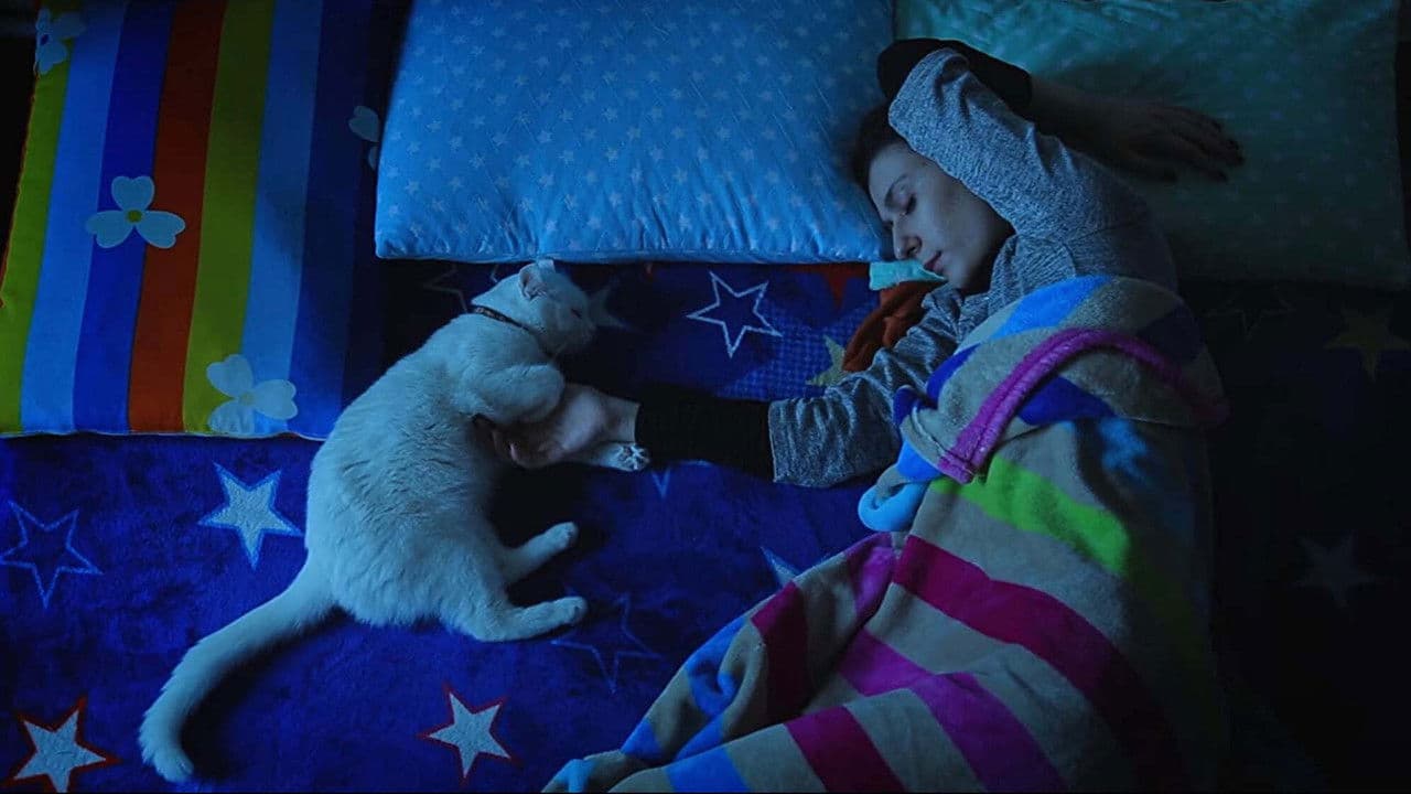 Backdrop – The Cats