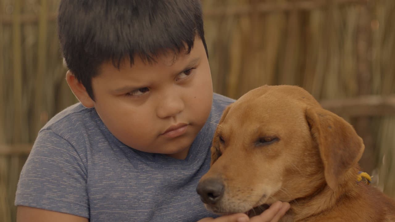 Backdrop – Monstruo de Xibalba