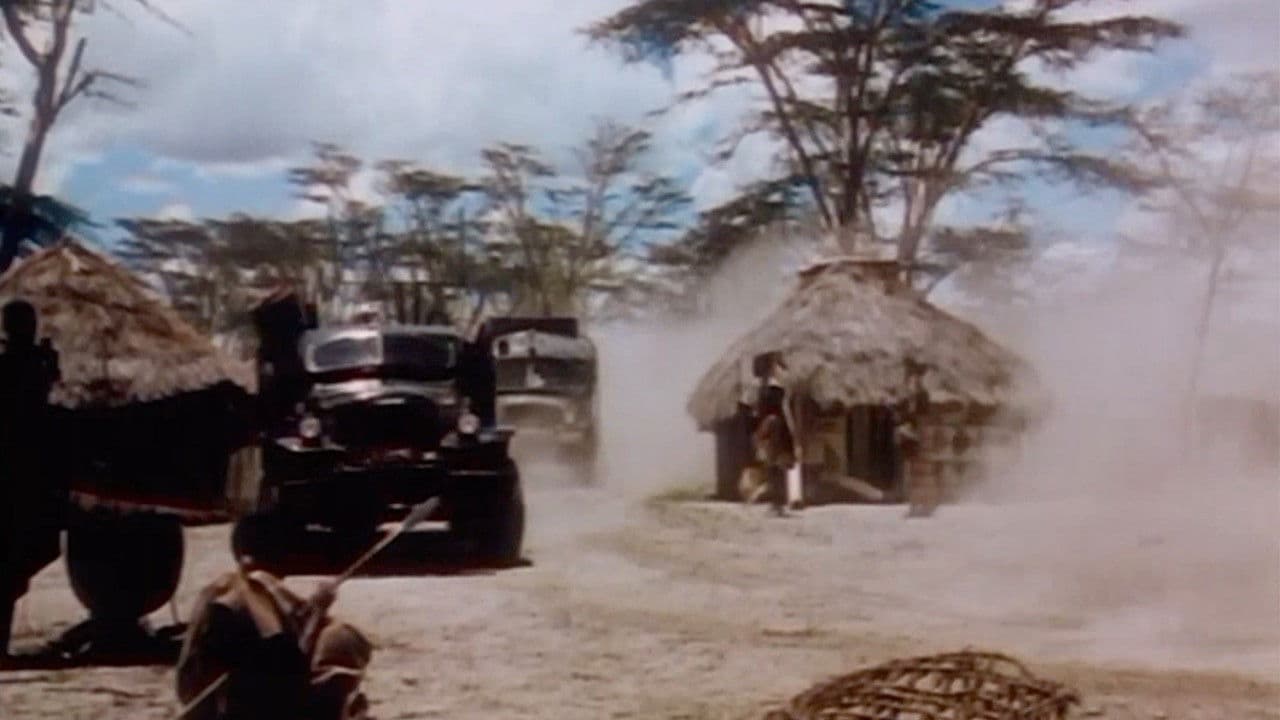 Backdrop – Jungle Safari