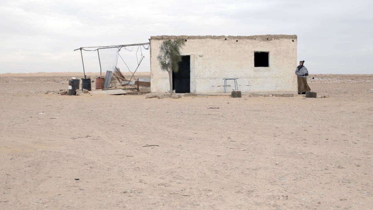 Backdrop – Malikas Königreich