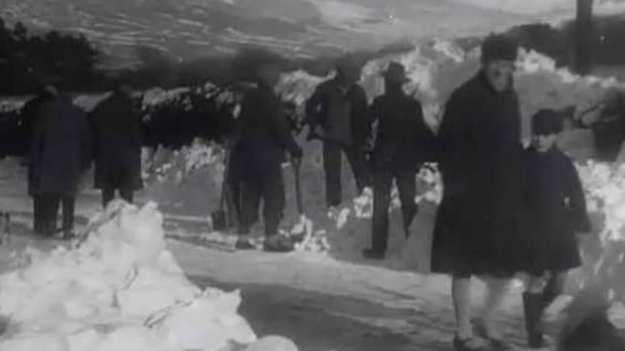 Backdrop – After the Blizzard