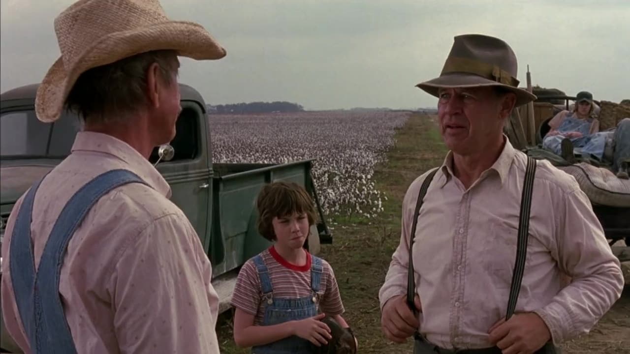 Backdrop – A Painted House