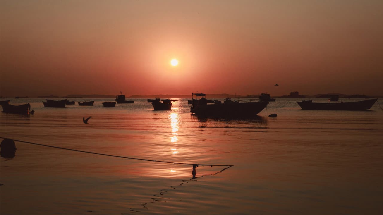Backdrop – Antes do Último Adeus