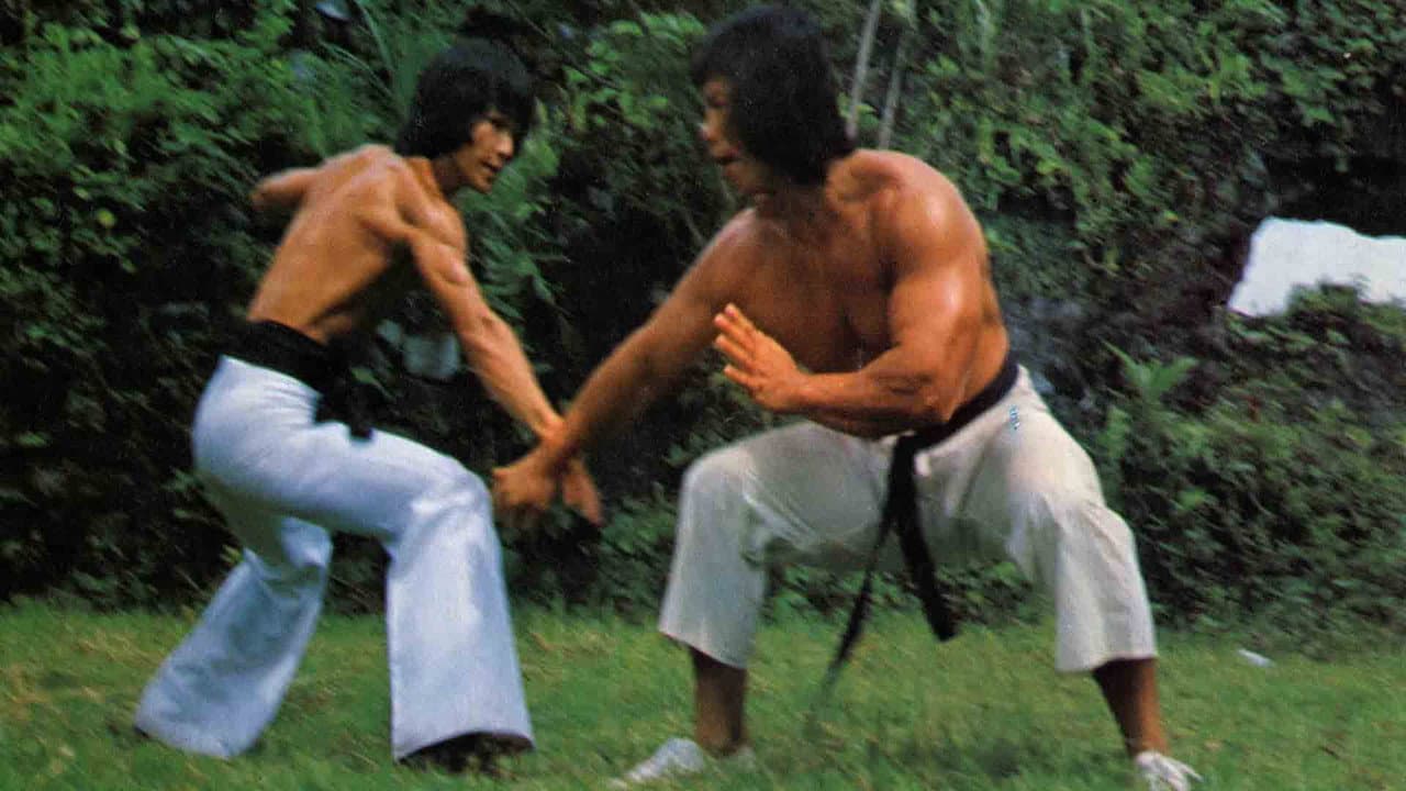 Backdrop – Bruce Lee - Der Tiger hetzt sie alle