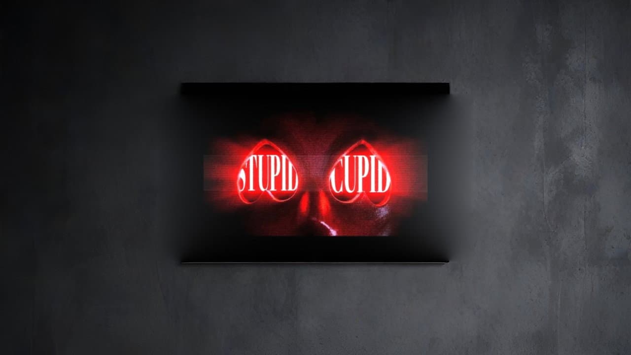 Backdrop – STUPID CUPID