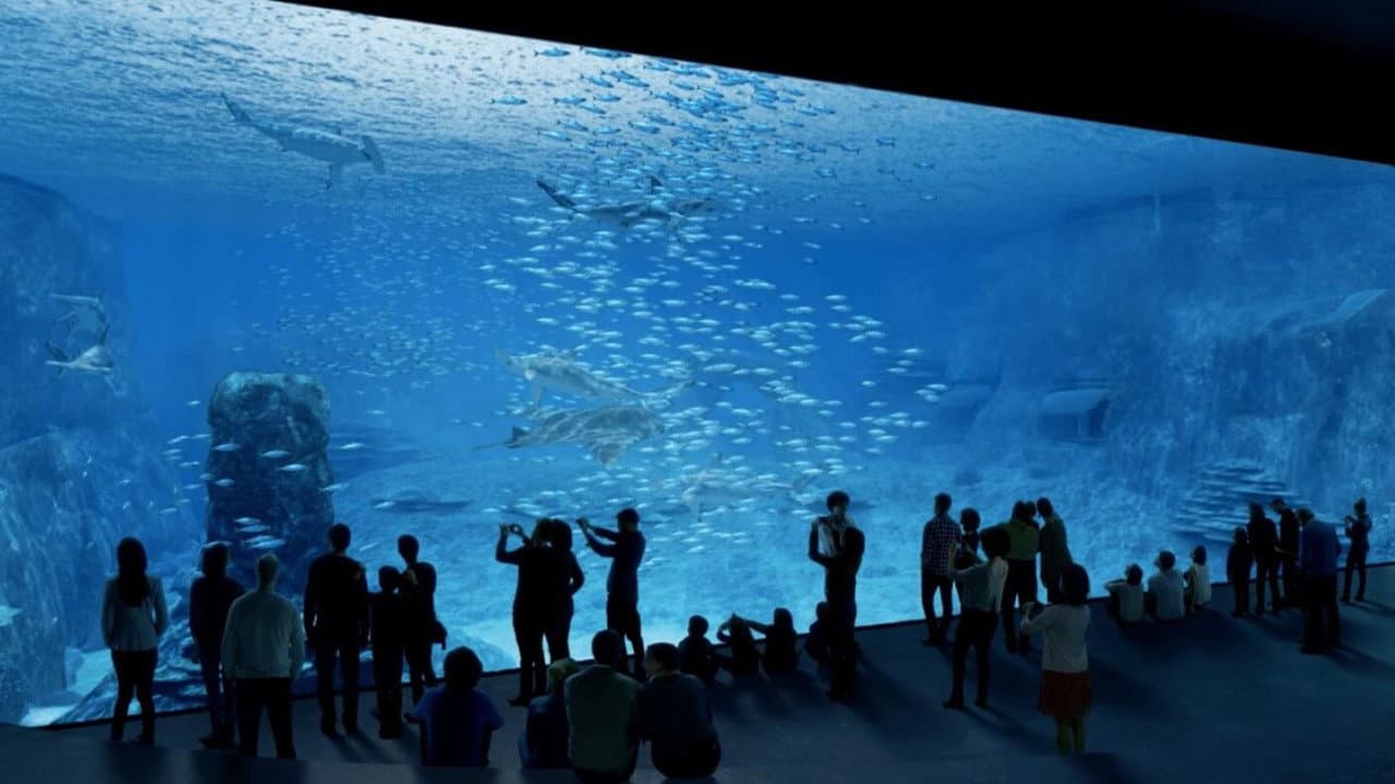Backdrop – Nausicaa, le plus grand aquarium d'Europe