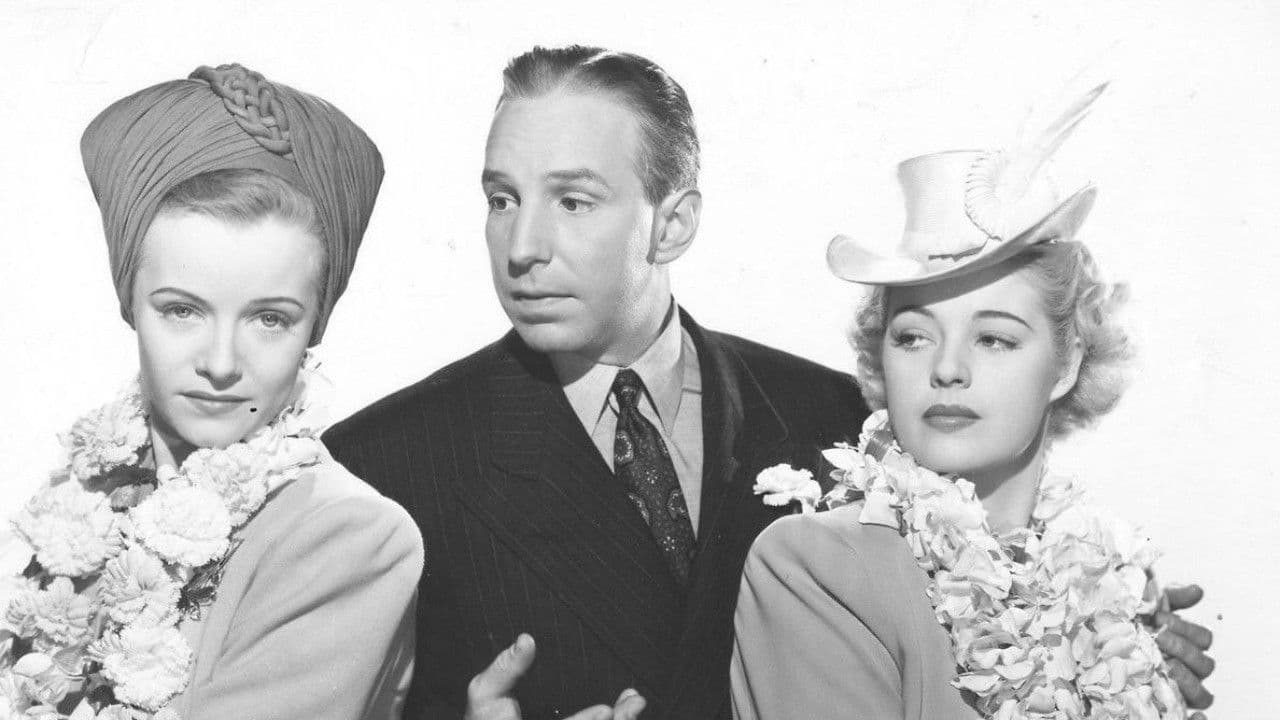 Backdrop – Blue, White, and Perfect