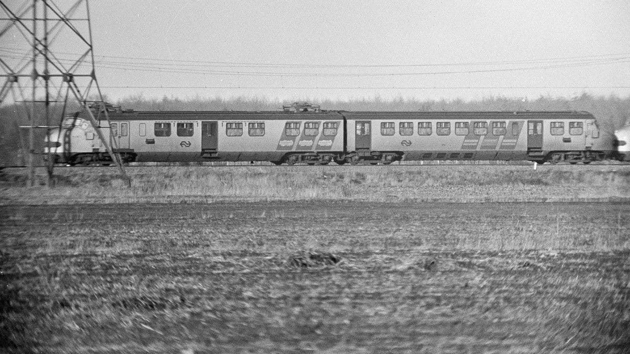 Backdrop – Wijster