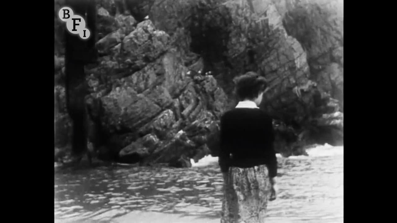 Backdrop – The Starfish