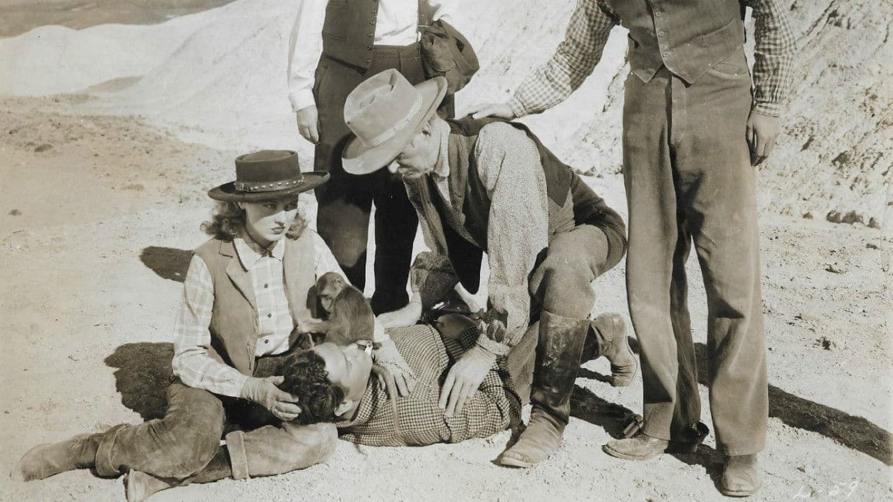 Backdrop – Death Valley