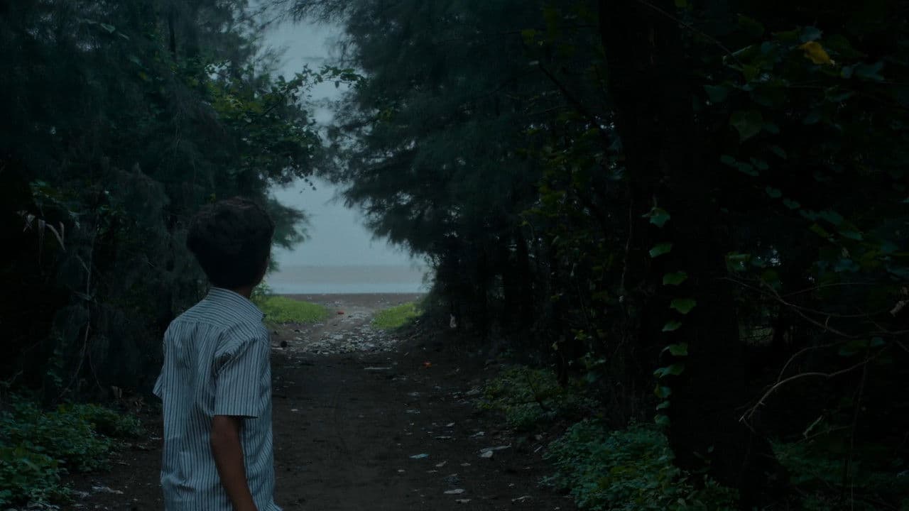 Backdrop – Small Clouds