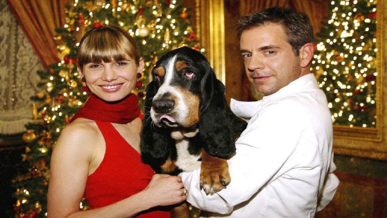 Backdrop – Der Weihnachtshund