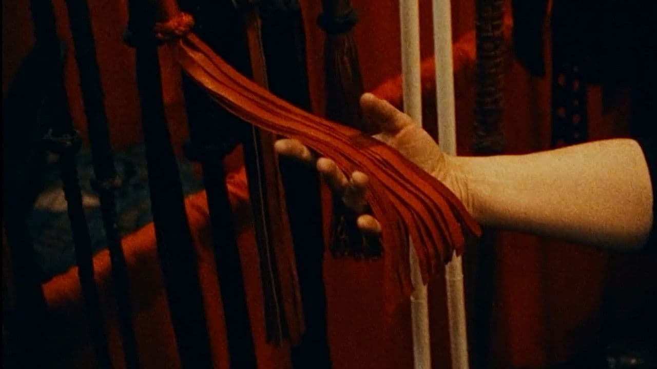 Backdrop – Whipped