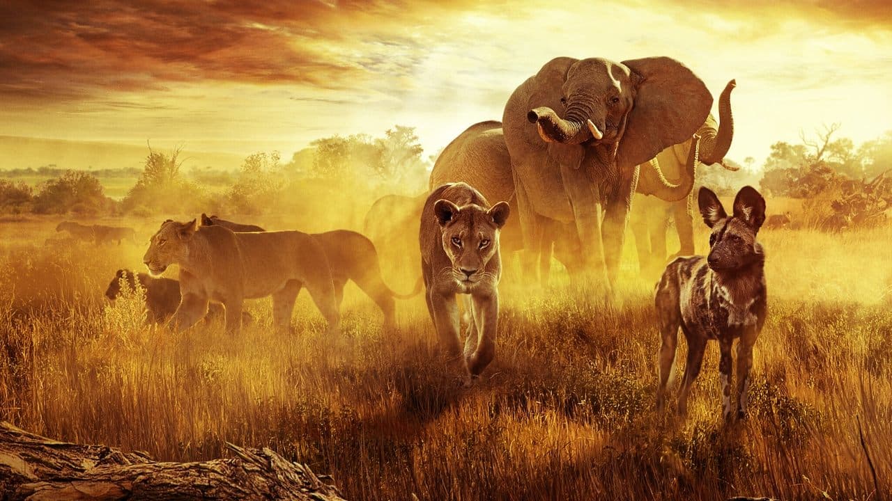 Backdrop – Überleben im Paradies: Eine Familiengeschichte