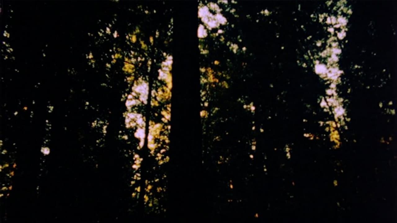 Backdrop – Mancoon