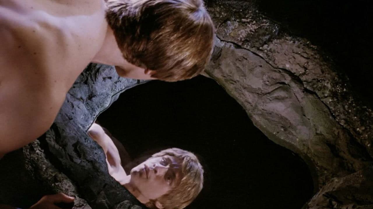 Backdrop – Narcissus