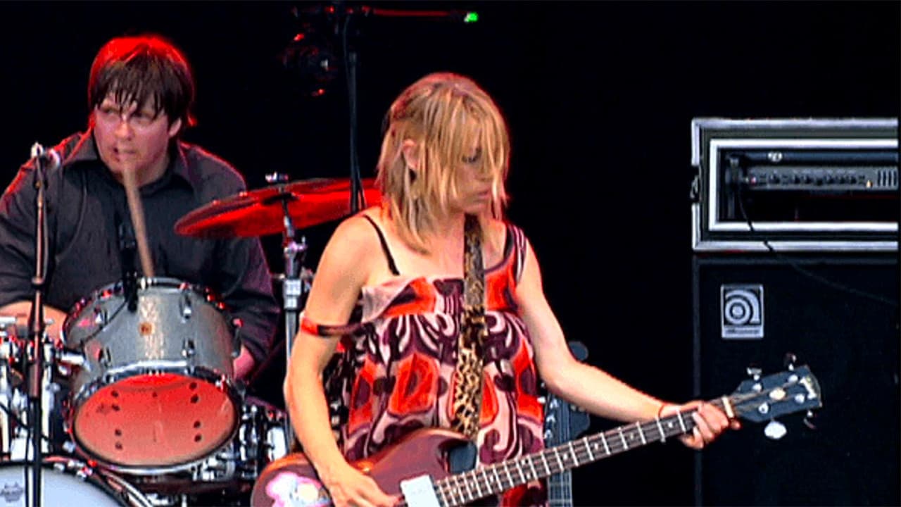 Backdrop – Sonic Youth: Live at Eurockéennes