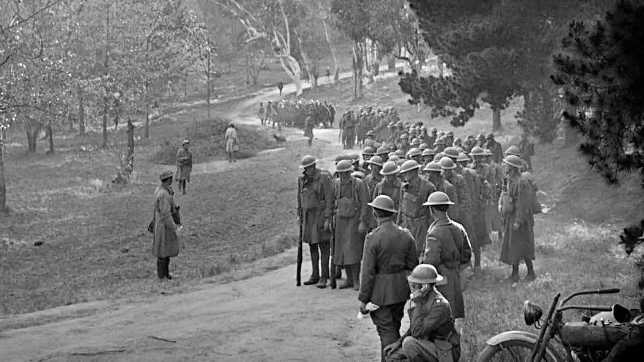 Backdrop – Die große Parade