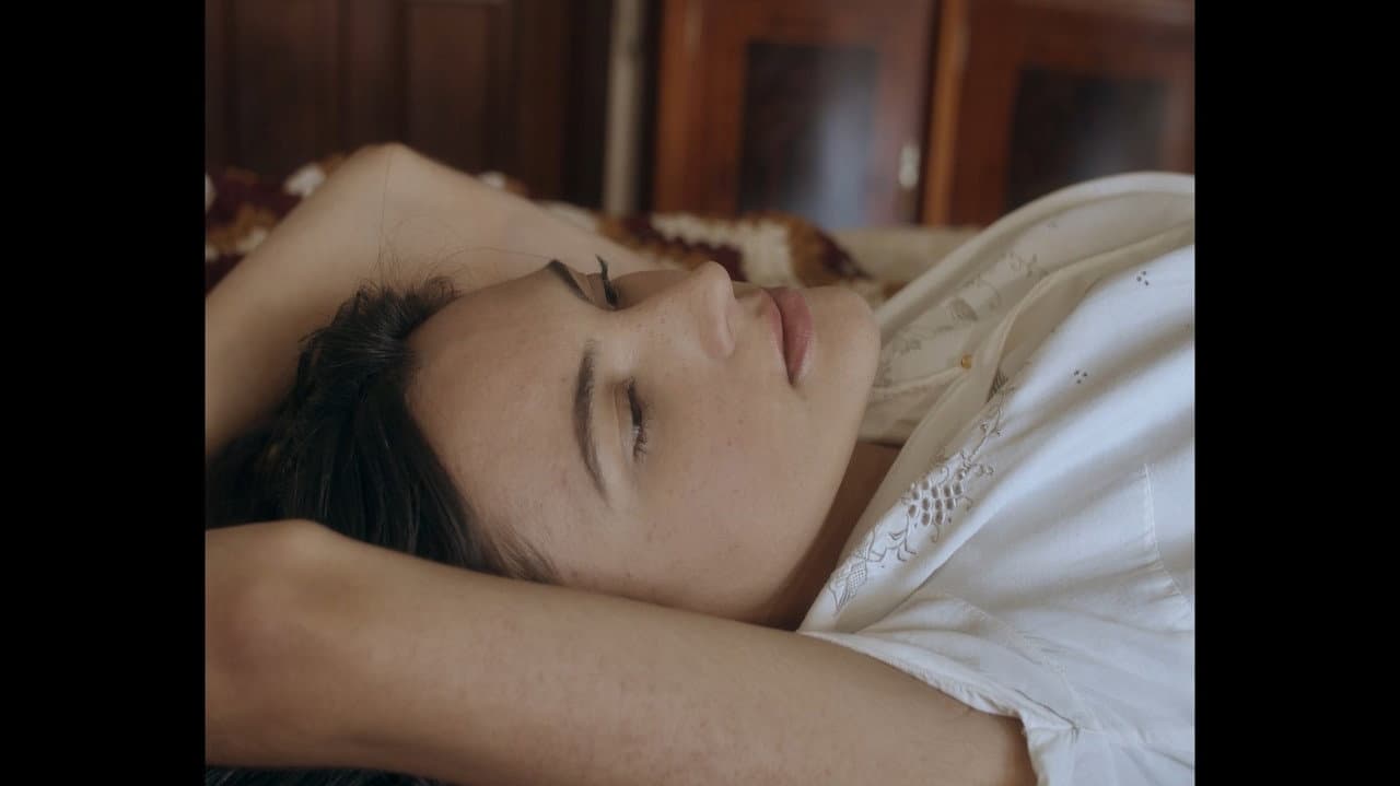 Backdrop – Desafane