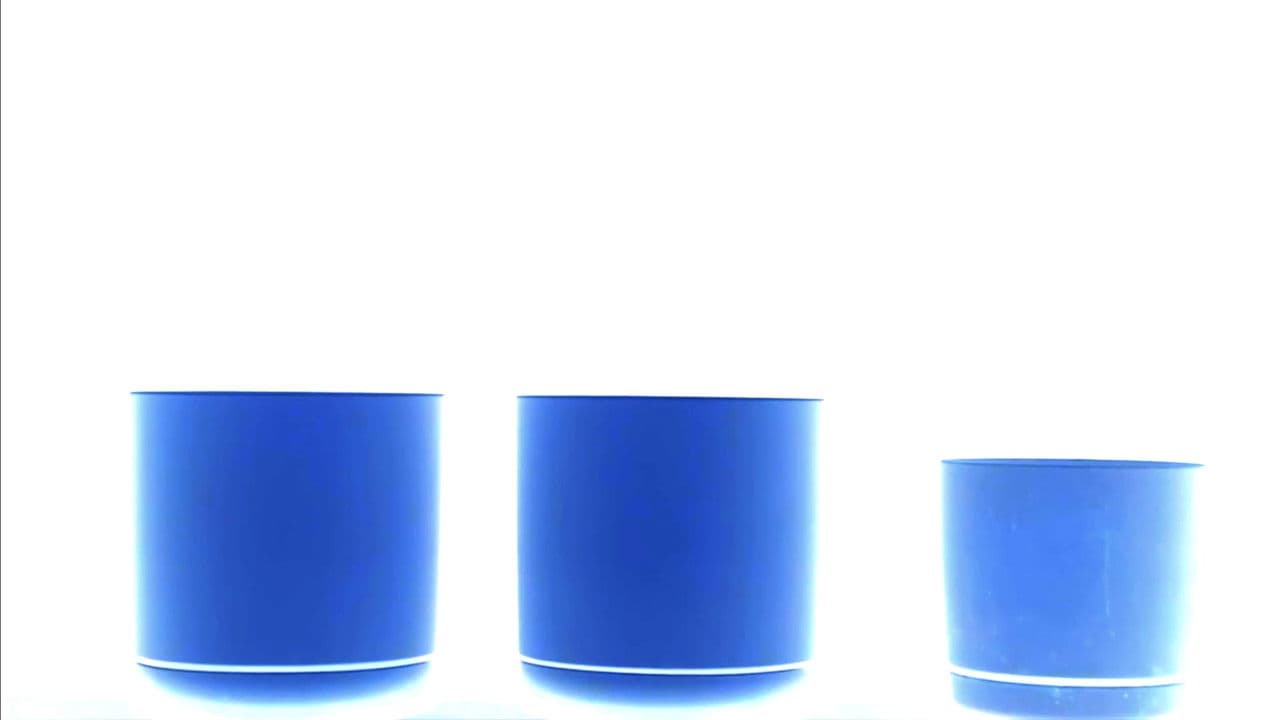 Backdrop – Satans Sacrilegious Saga