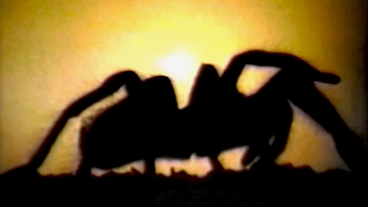 Backdrop – Tarantella