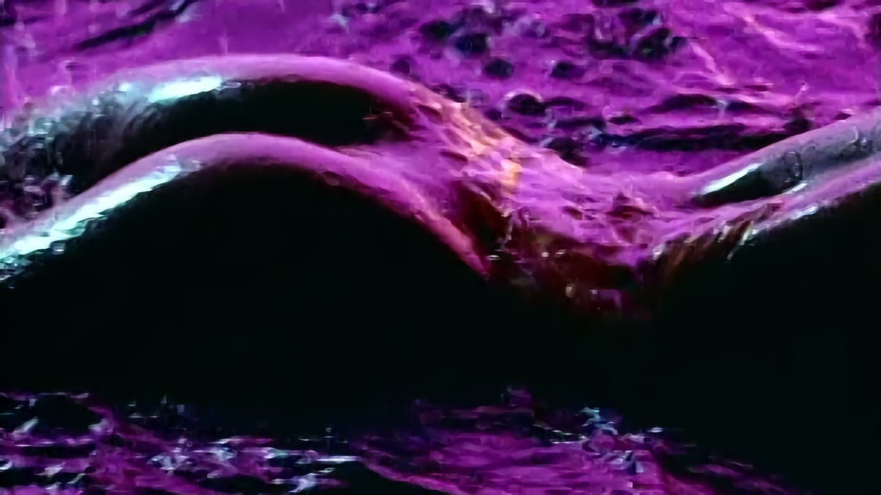 Backdrop – Playboy's Wet & Wild