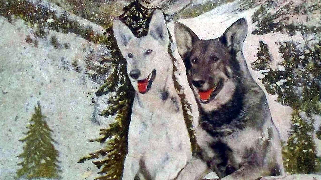 Backdrop – A Hero of the Big Snows