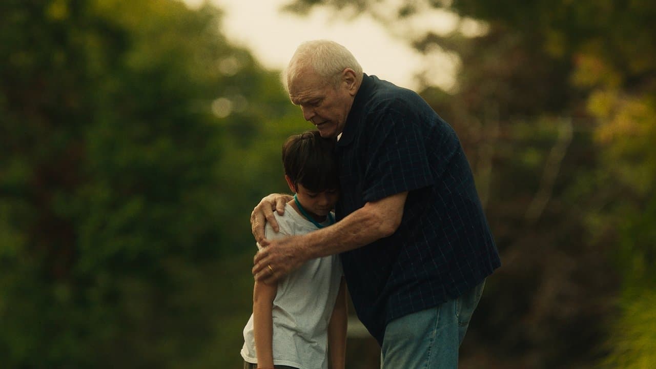 Backdrop – Driveways