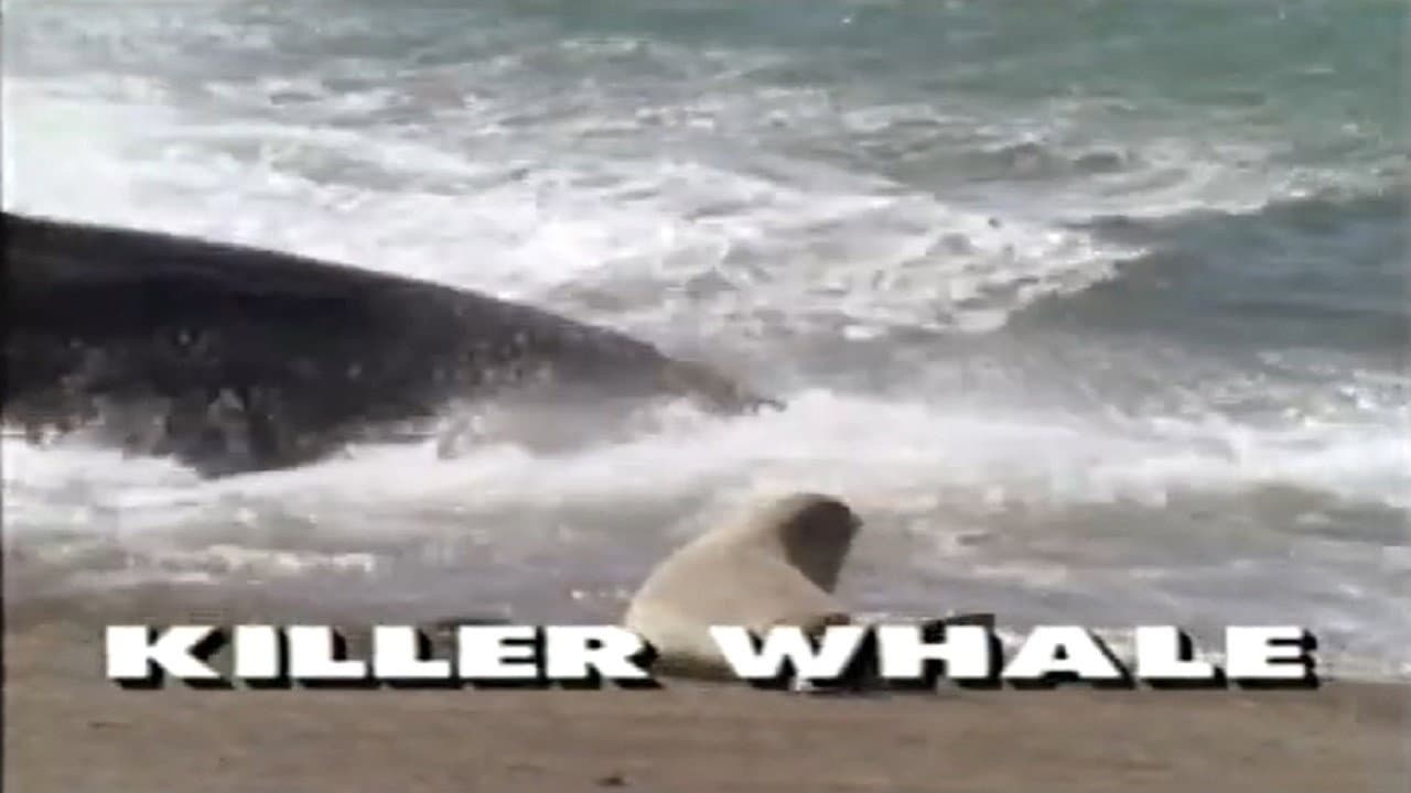 Backdrop – Predators of the Wild: Killer Whale