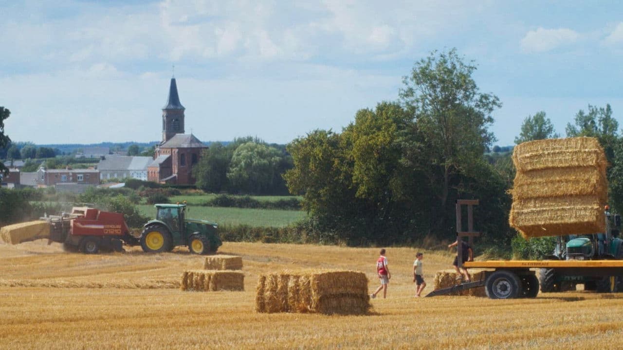 Backdrop – Un été à la ferme - L'âge d'or