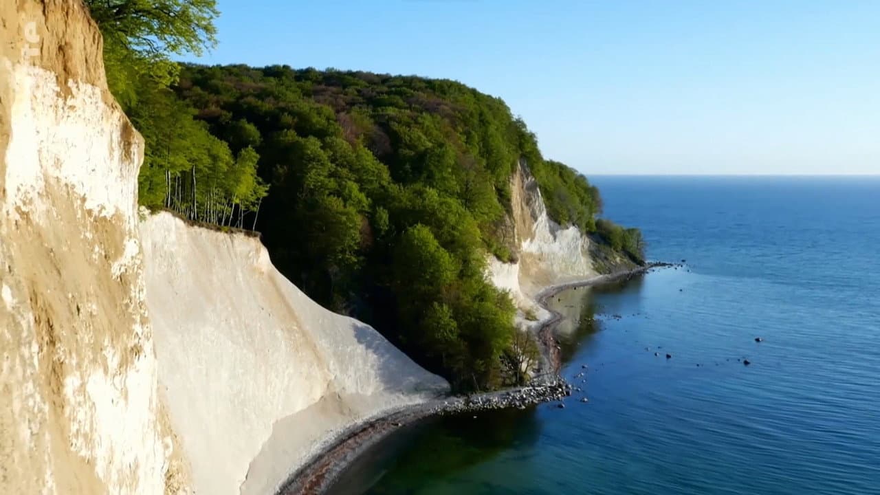 Backdrop – Rügen - Weiße Felsen, grüne Wälder