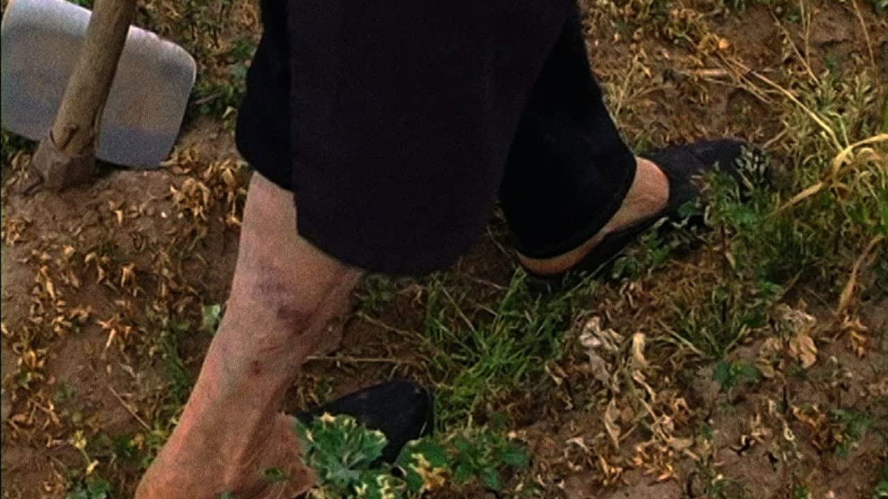 Backdrop – Terra que marca