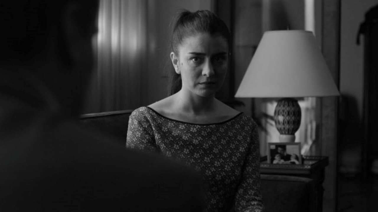 Backdrop – La luz incidente