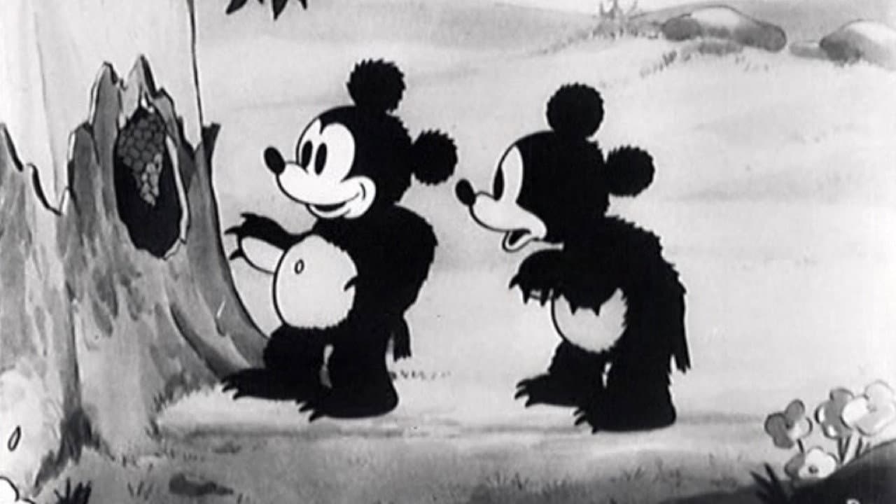 Backdrop – The Bears and the Bees