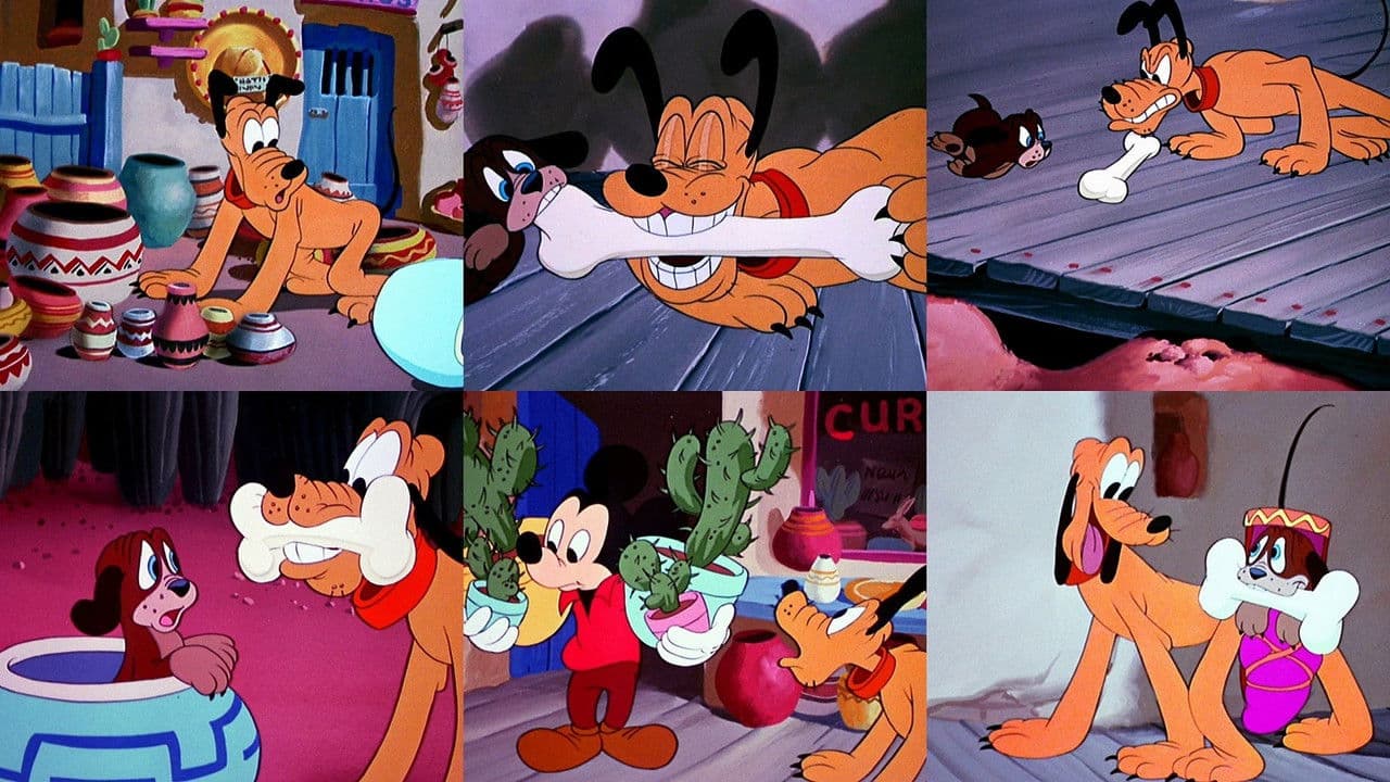 Backdrop – Vorsicht, Kaktus!