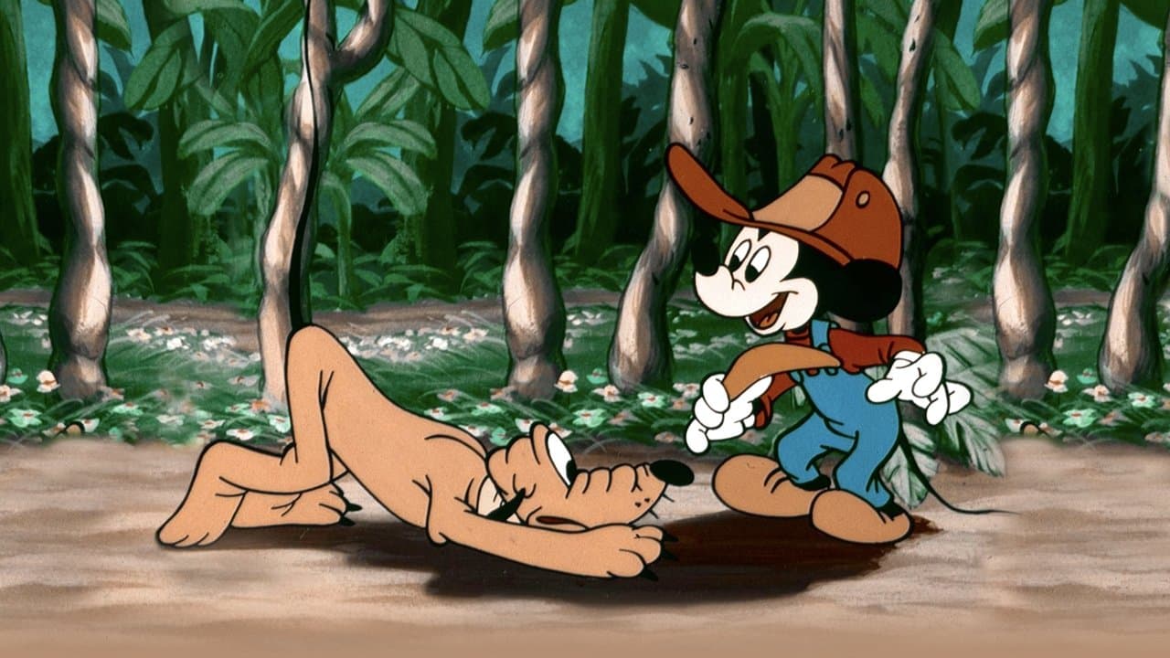 Backdrop – Micky in Australien