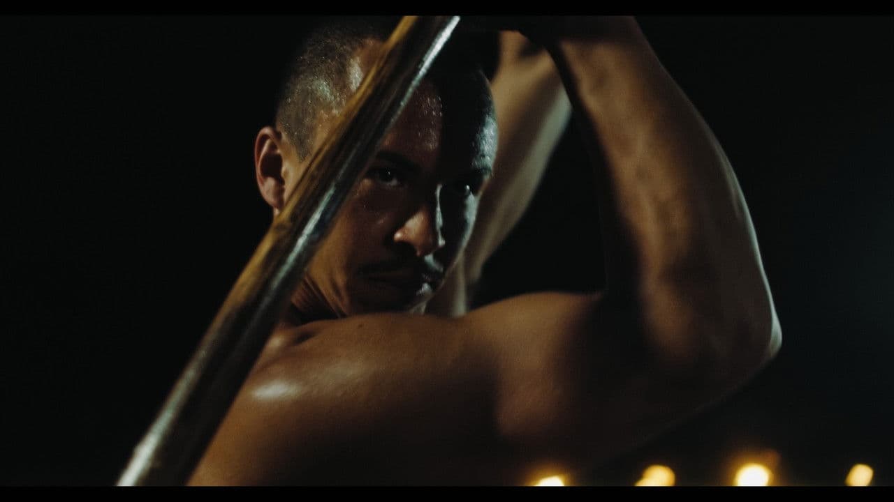 Backdrop – Grund einer Natur