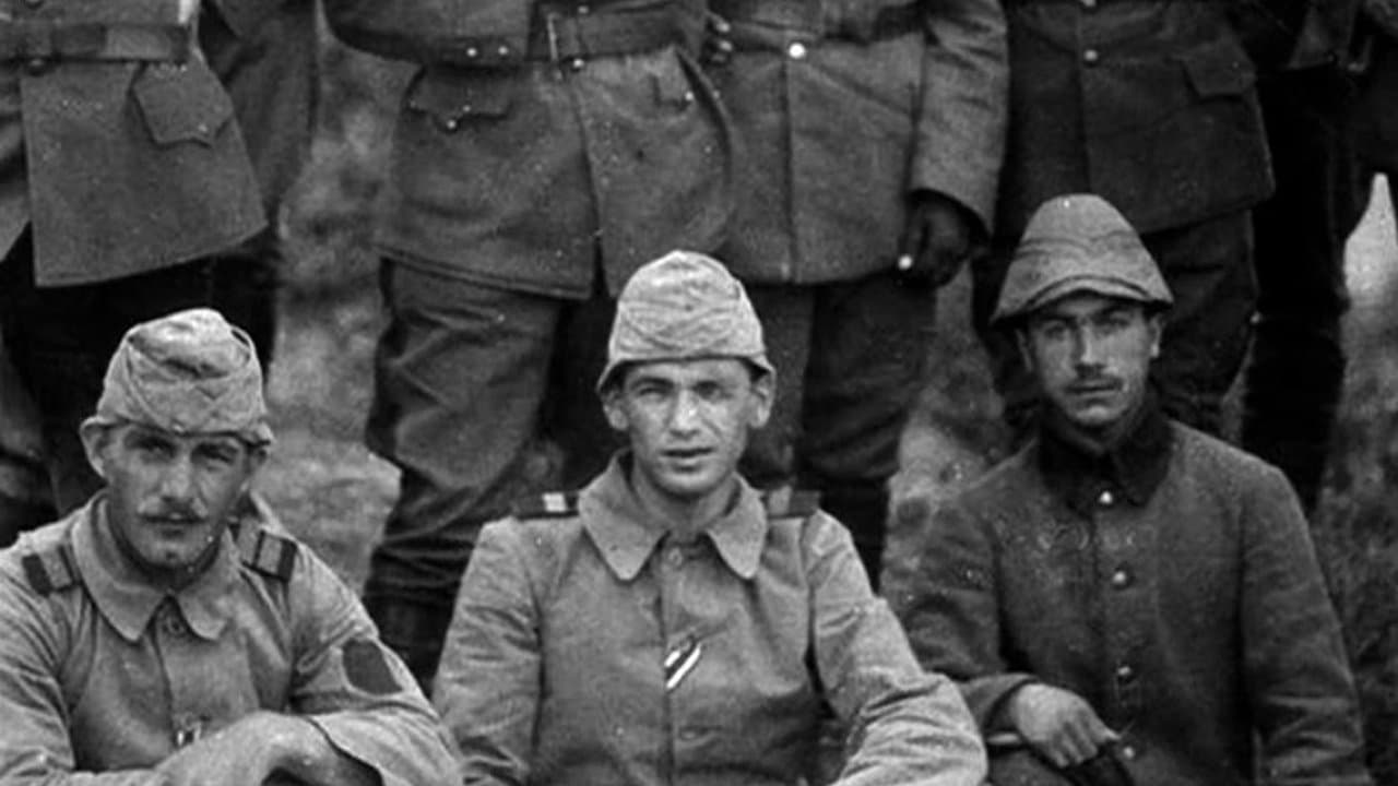 Backdrop – Gelibolu