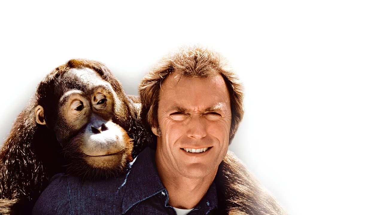 Backdrop – Mit Vollgas nach San Fernando