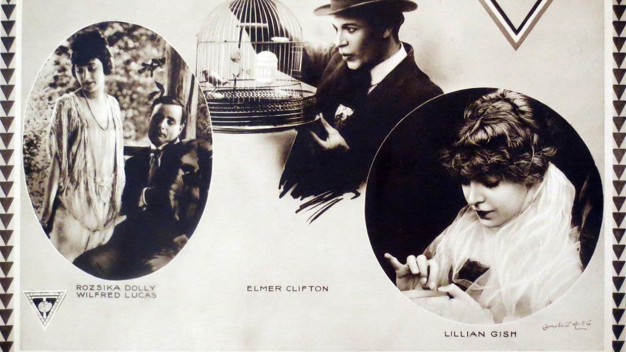 Backdrop – The Lily and the Rose