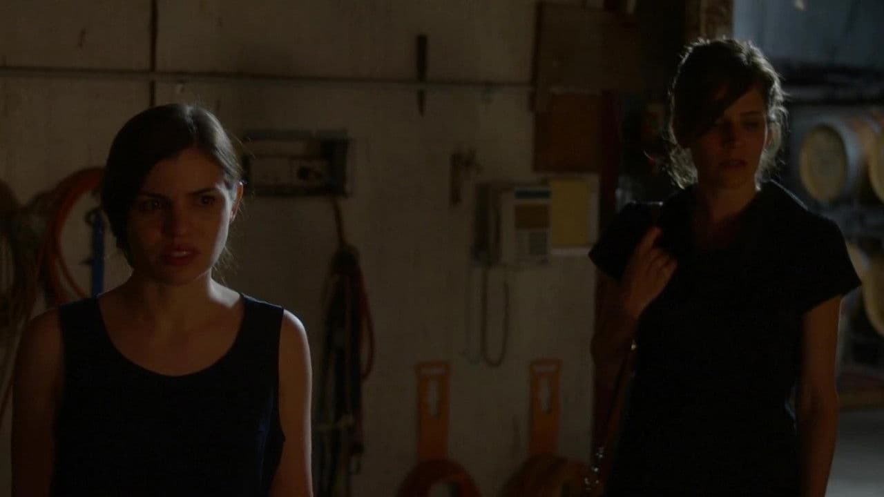 Backdrop – Crushed