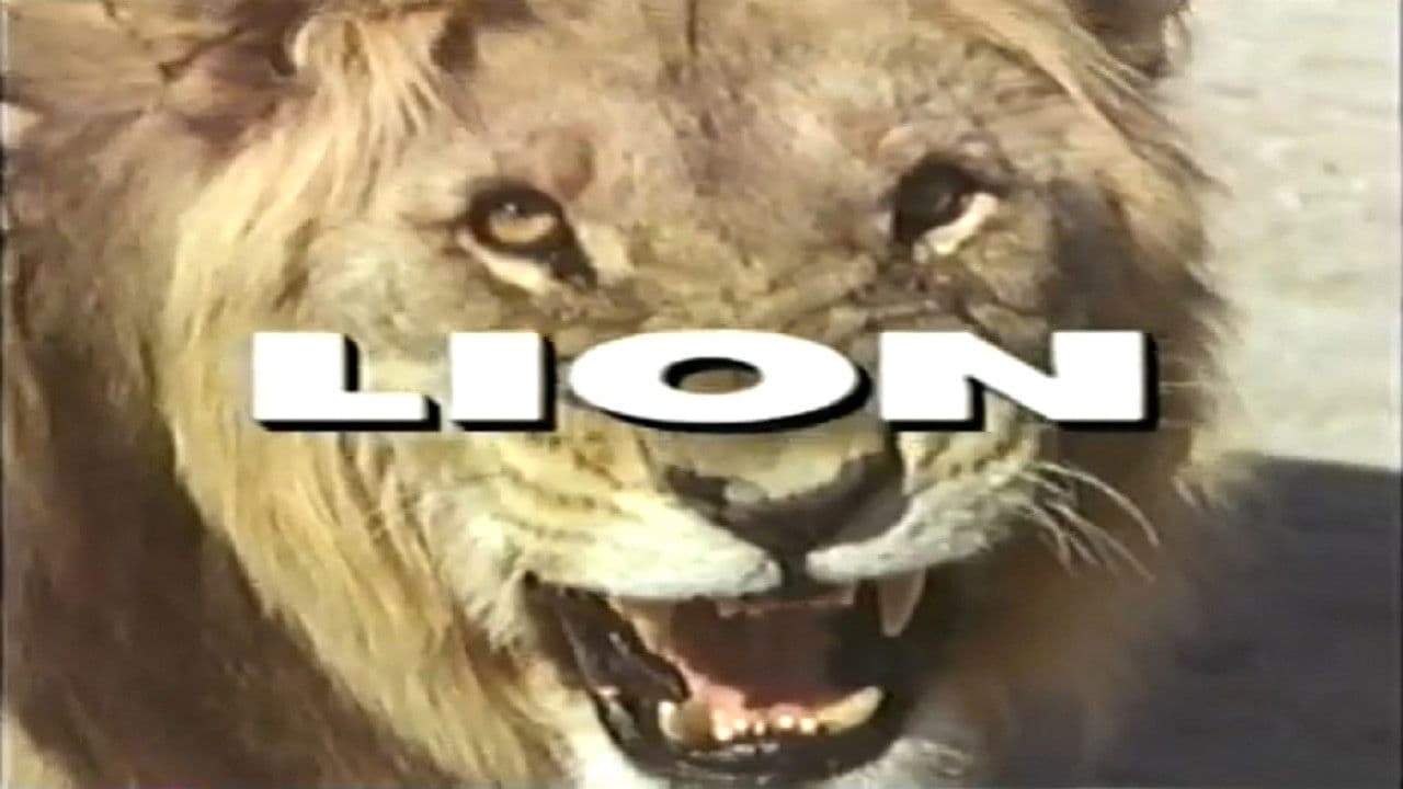 Backdrop – Predators of the Wild: Lion