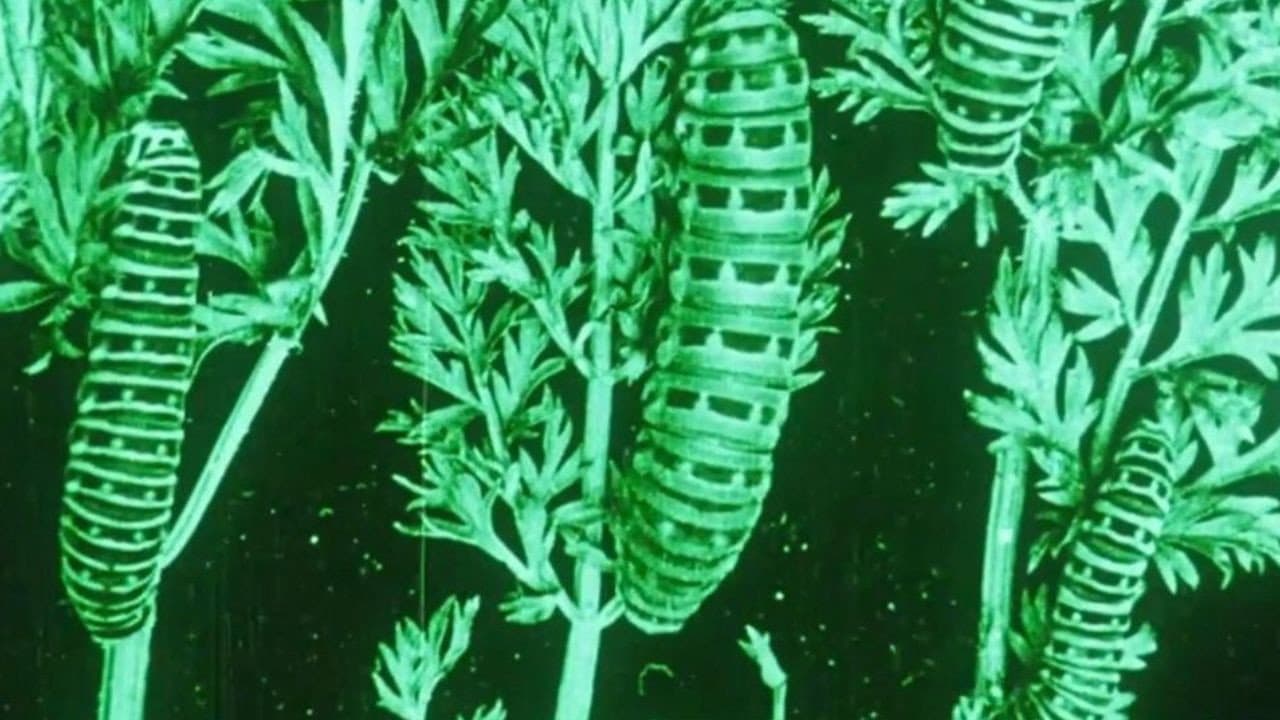 Backdrop – Water, Klimaat en Film
