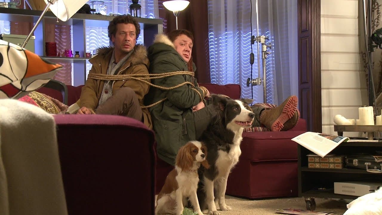 Backdrop – Ёлки лохматые